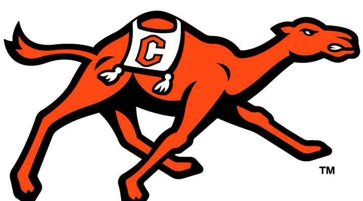 Campbell Fightiing Camels
